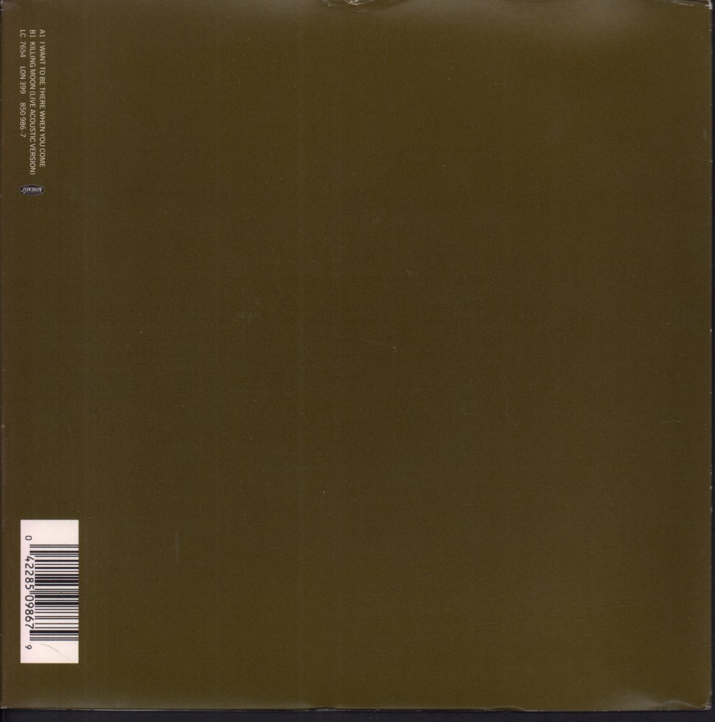 Echo And The Bunnymen - I Want To Be There When You Come - 7 Inch