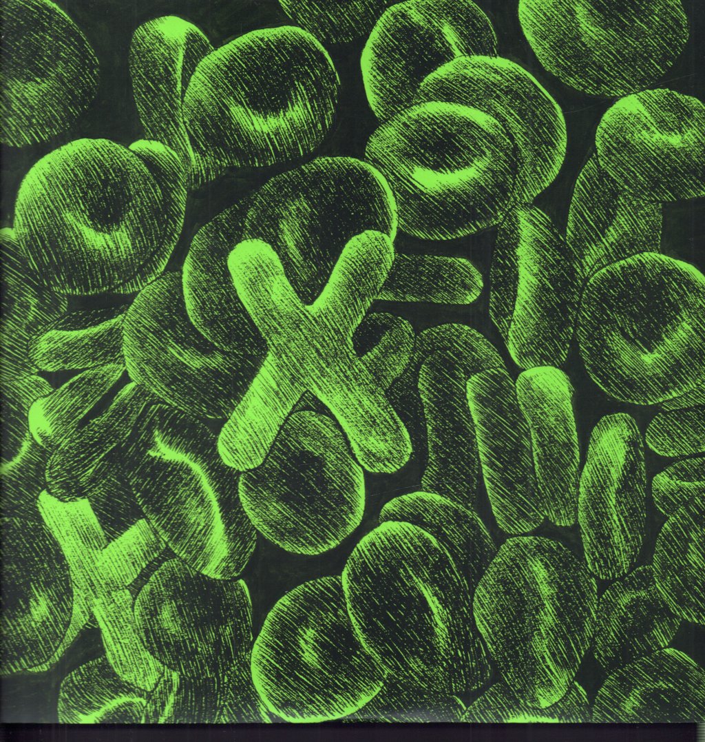 Ed Sheeran - X - Double Lp