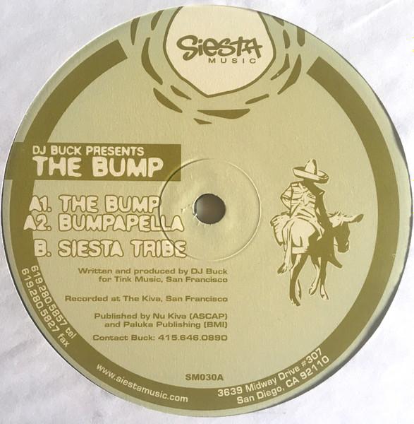 DJ Buck - Bump - 12 Inch
