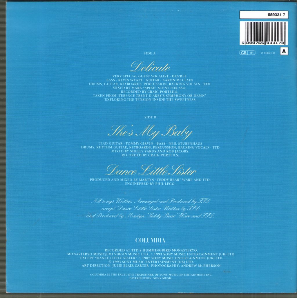 Terence Trent D'arby Featuring Des'ree - Delicate - 7 Inch