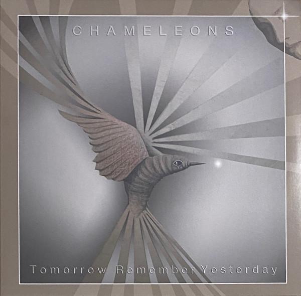 Chameleons - Tomorrow Remember Yesterday - 12 Inch