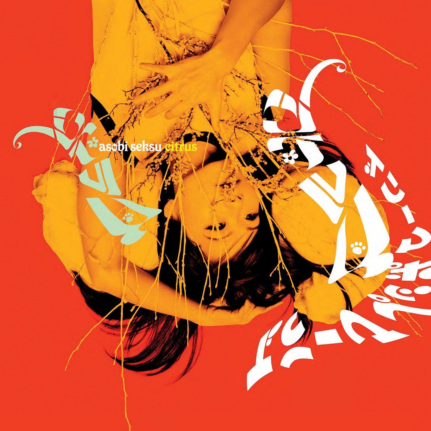 Asobi Seksu - Citrus - Double Lp