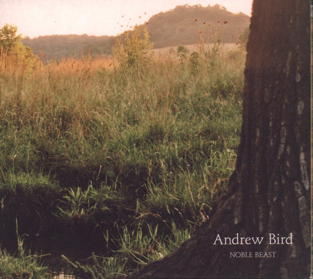 Andrew Bird - Noble Beast - Cd