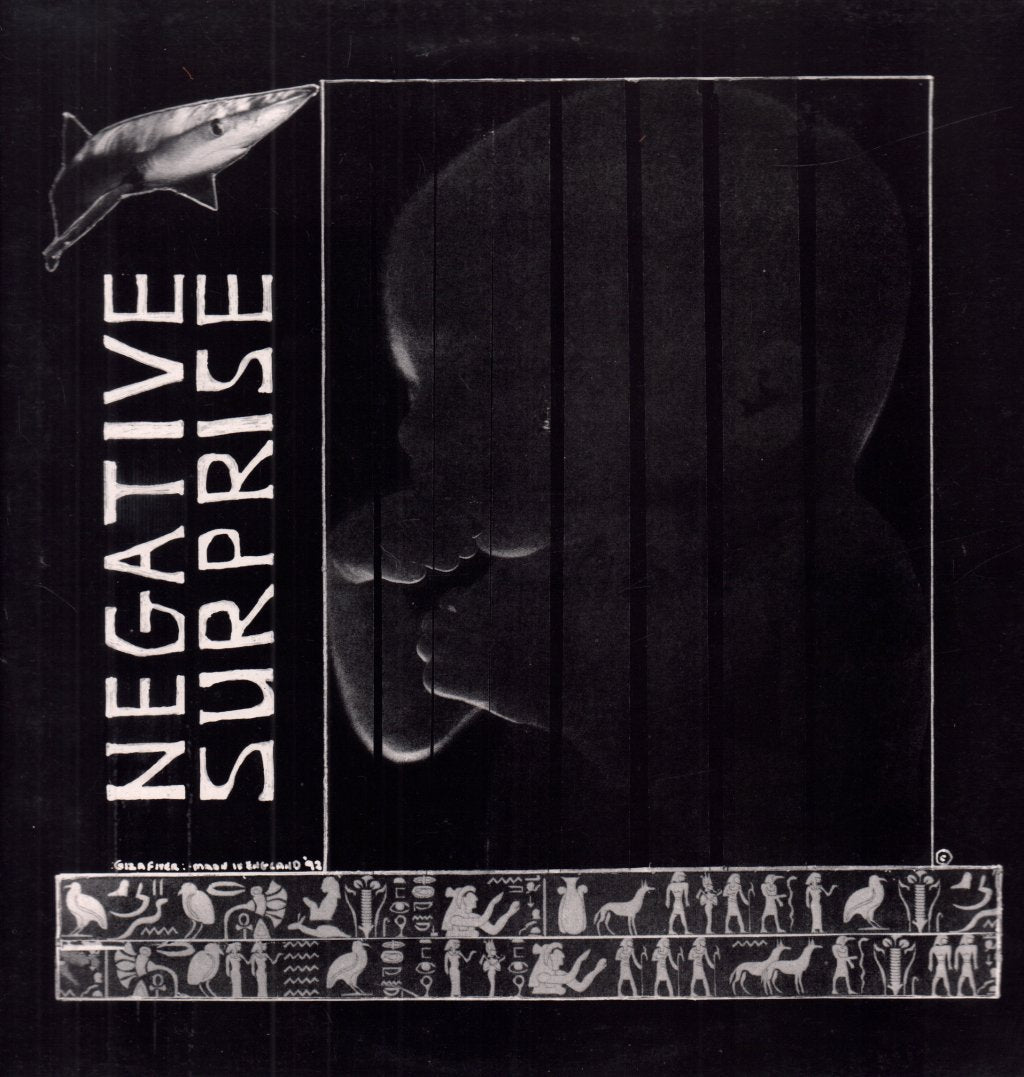 Negative Surprise - Negative Surprise - Lp