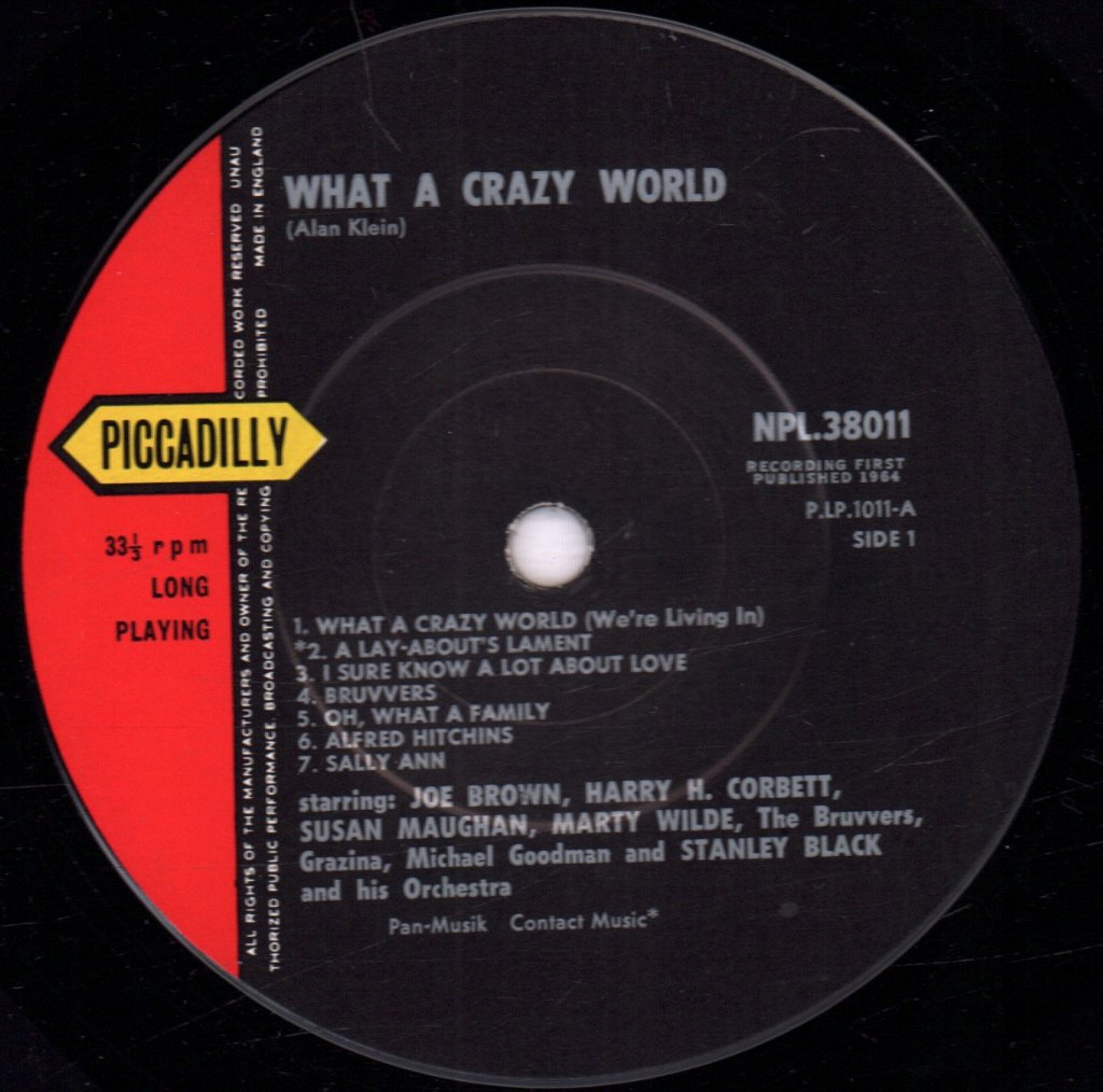 Various Artists - What A Crazy World - Lp