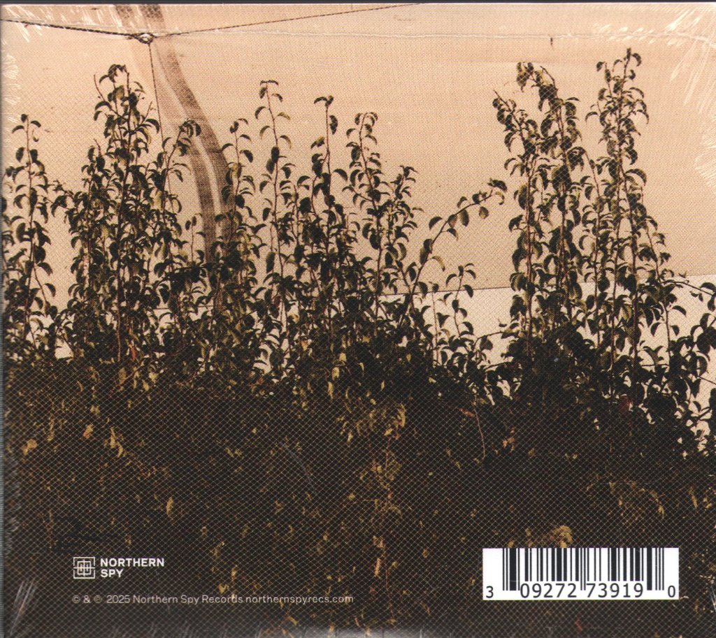 Necks - Disquiet - Triple Cd