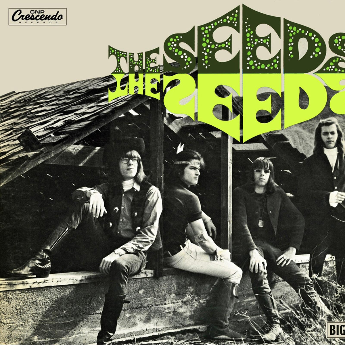 Seeds - Seeds - Cd