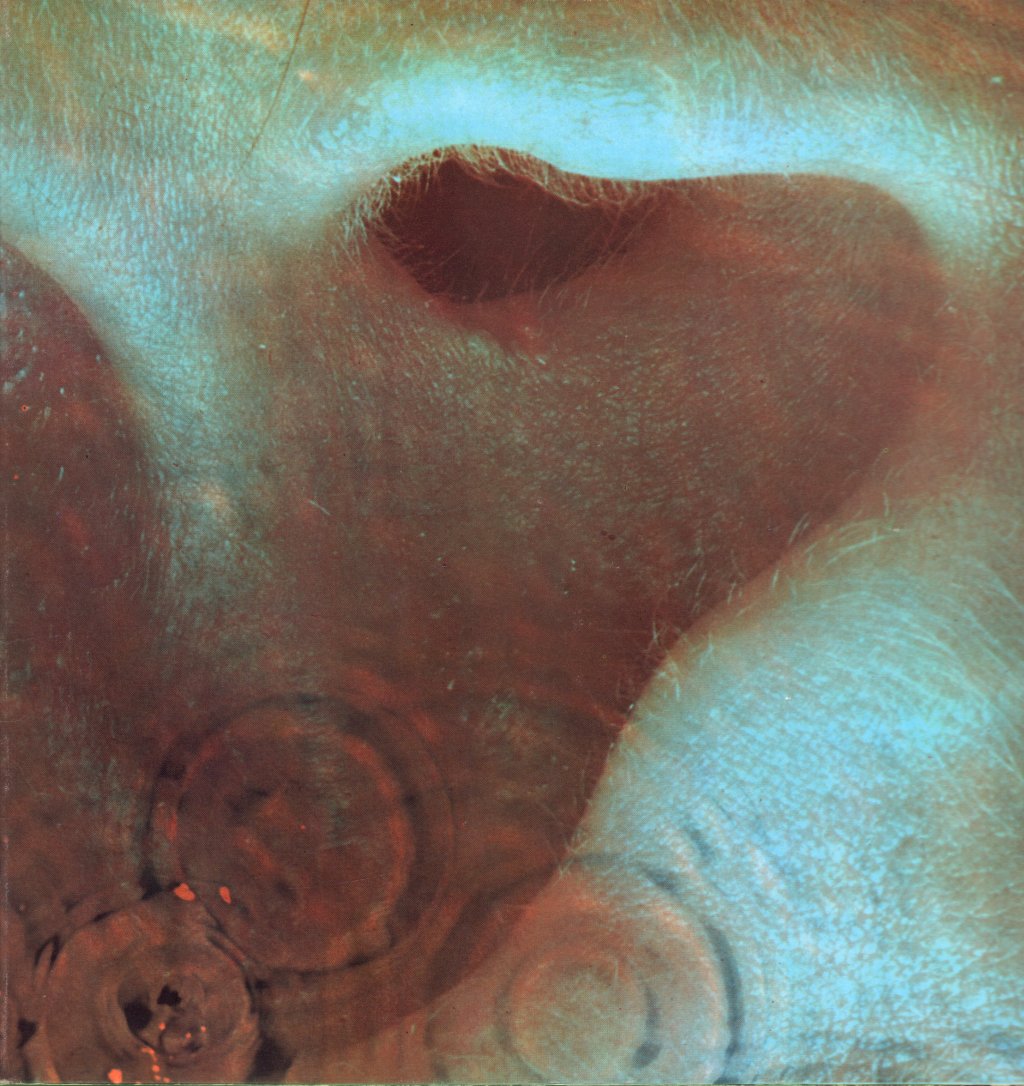 Pink Floyd - Meddle - Lp