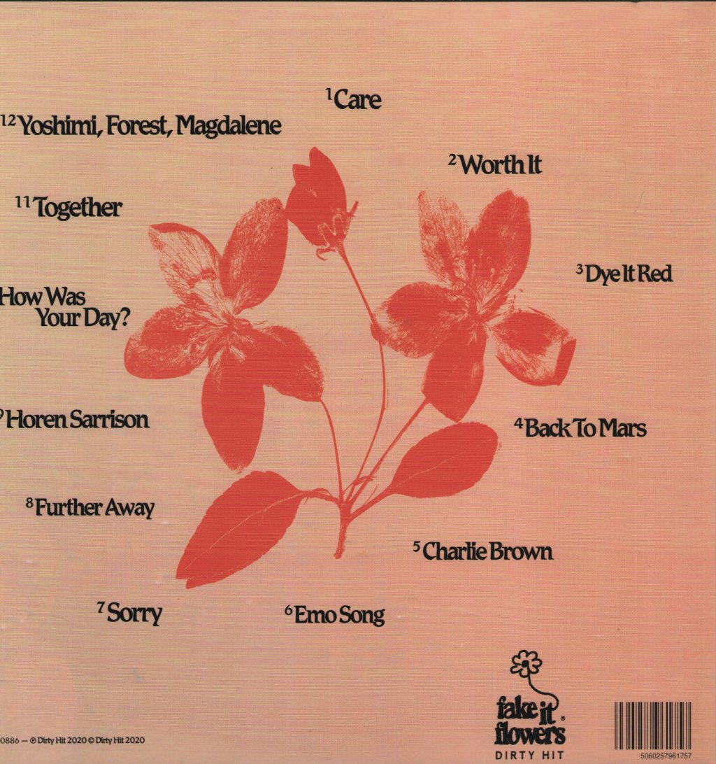 Beabadoobee - Fake It Flowers - Lp