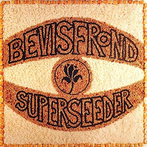 Bevis Frond - Superseeder - Double Lp