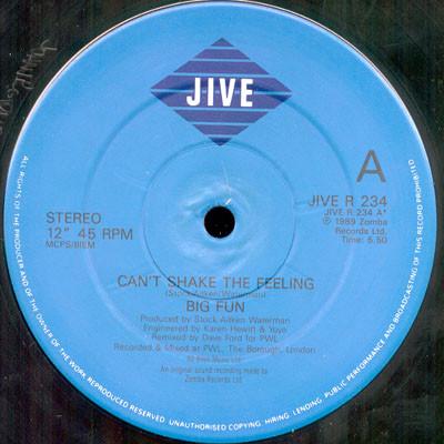 Big Fun - Can't Shake The Feeling - 12 Inch