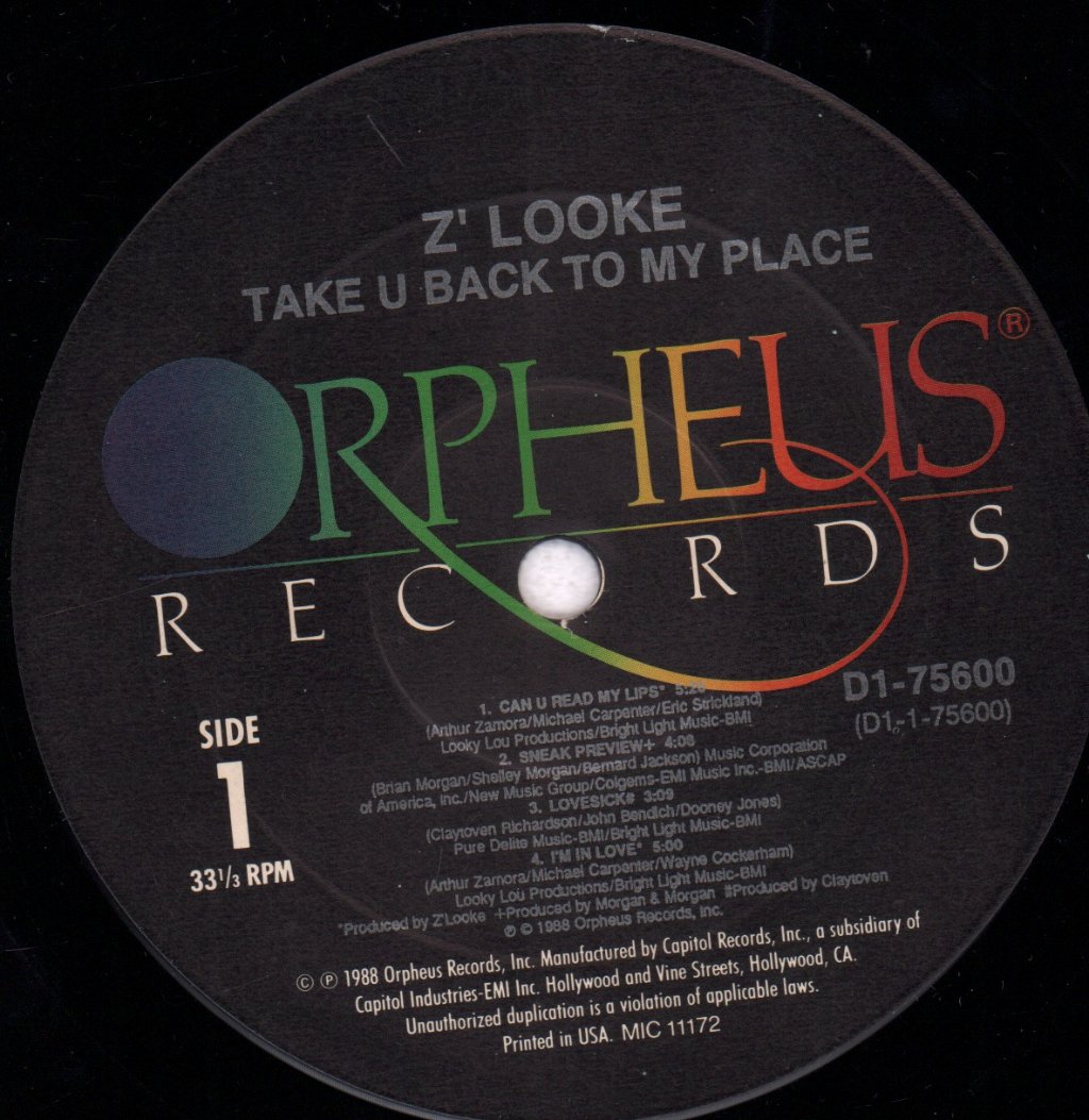 Z'looke - Take U Back To My Place - Lp