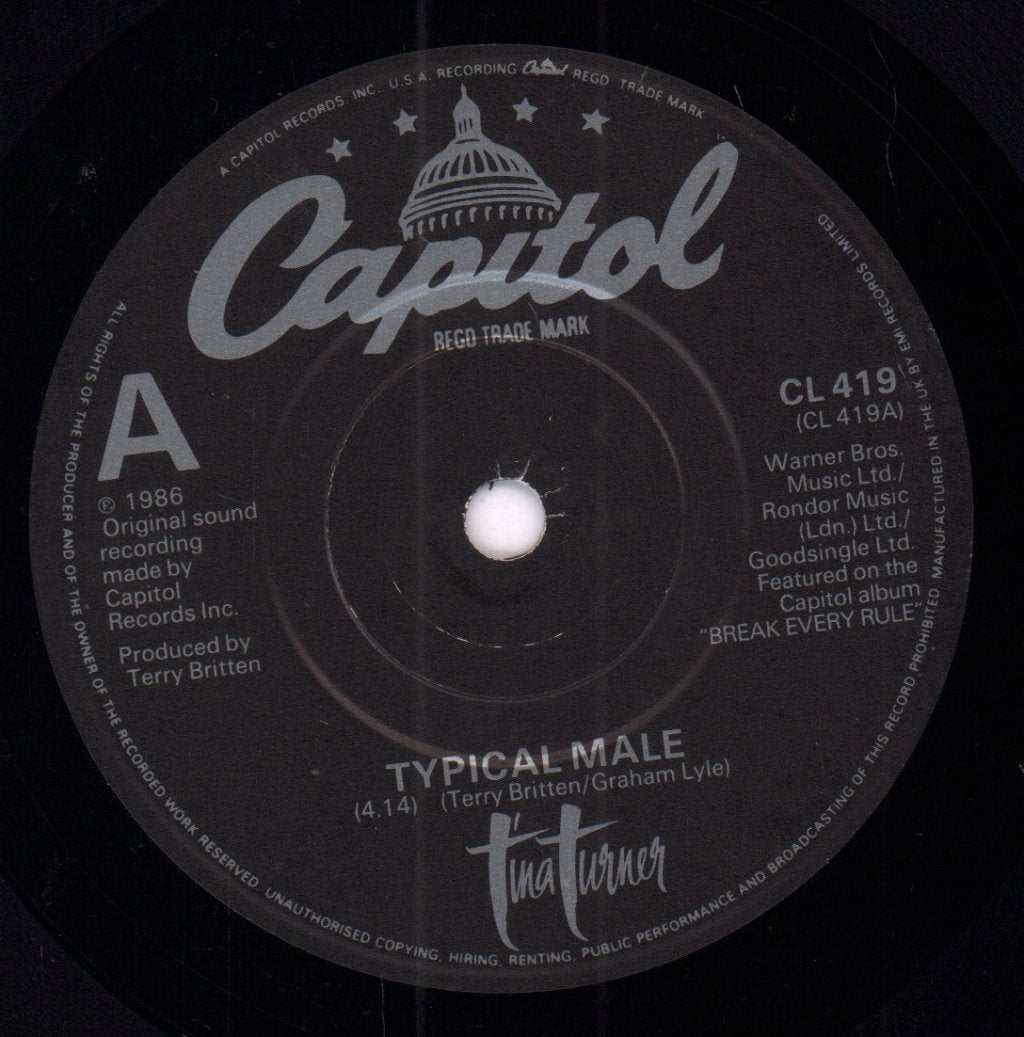Tina Turner - Typical Male - 7 Inch
