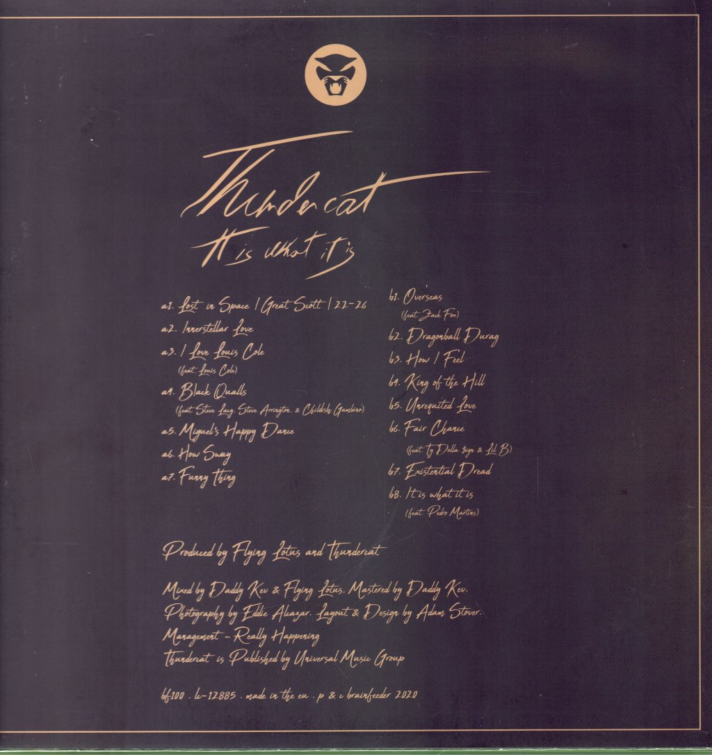 Thundercat - It Is What It Is - Lp