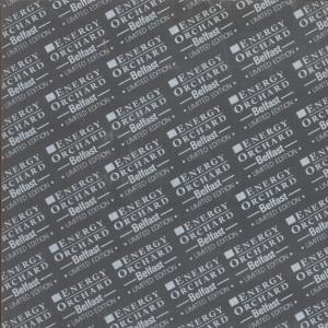 Energy Orchard - Belfast - 7 Inch