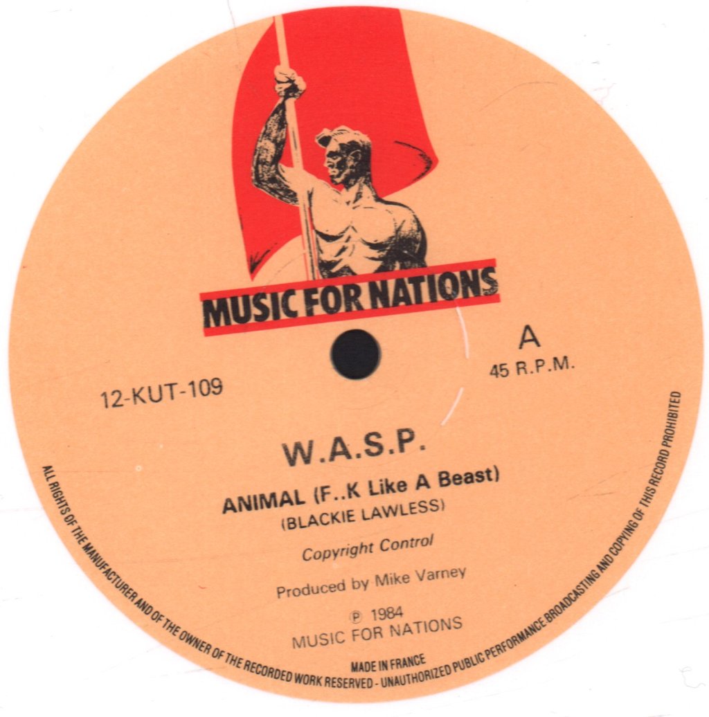 Wasp - Animal - 12 Inch
