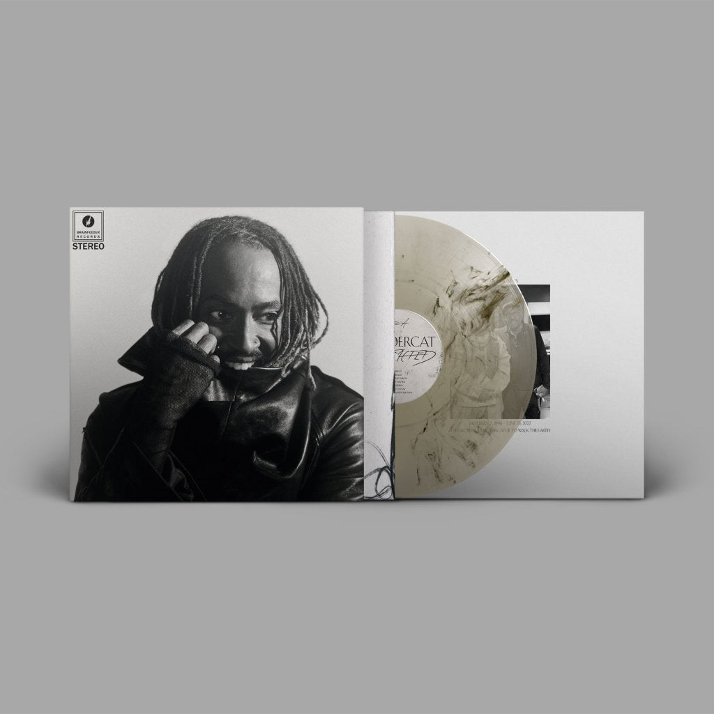 Thundercat - Distracted - Lp