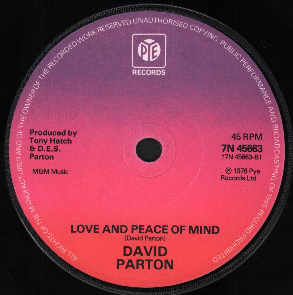 David Parton - Isn't She Lovely - 7 Inch