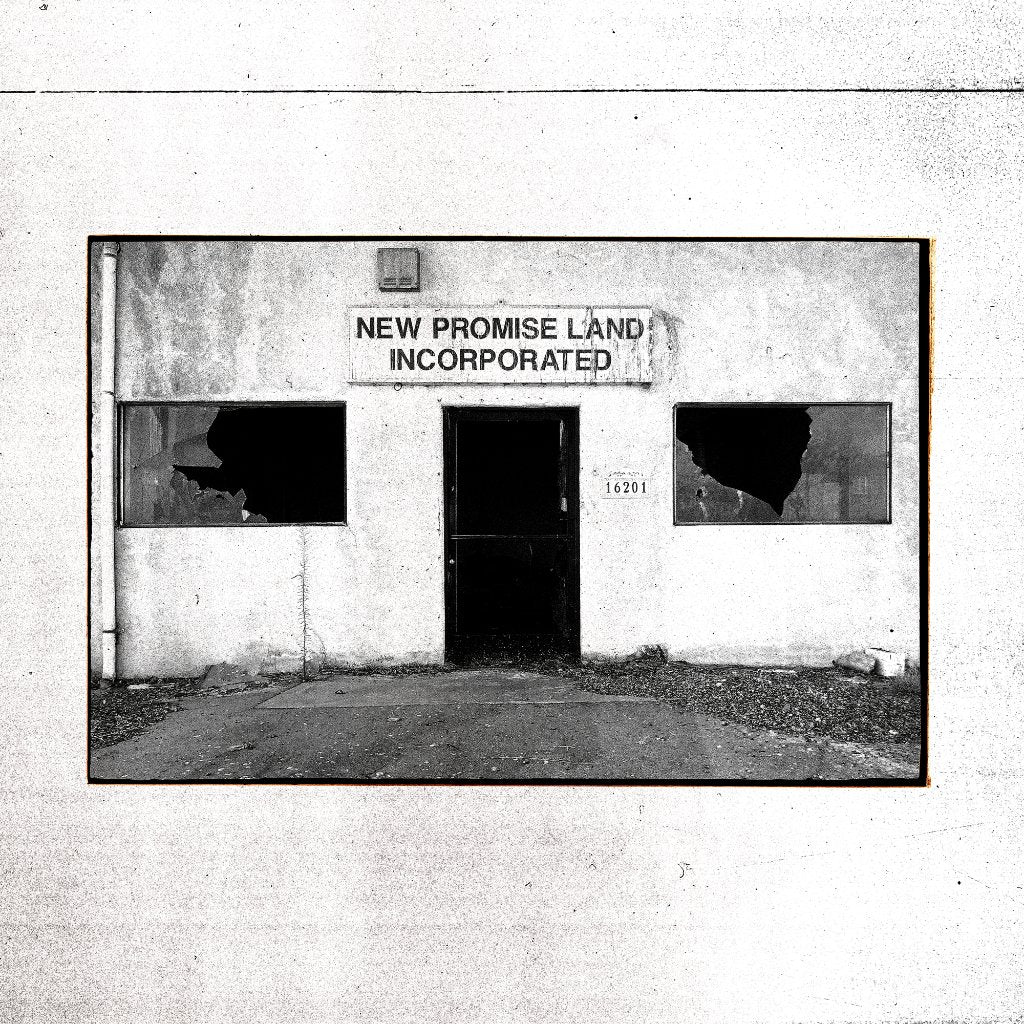 Temperance Movement - New Promise Land Incorporated - Lp