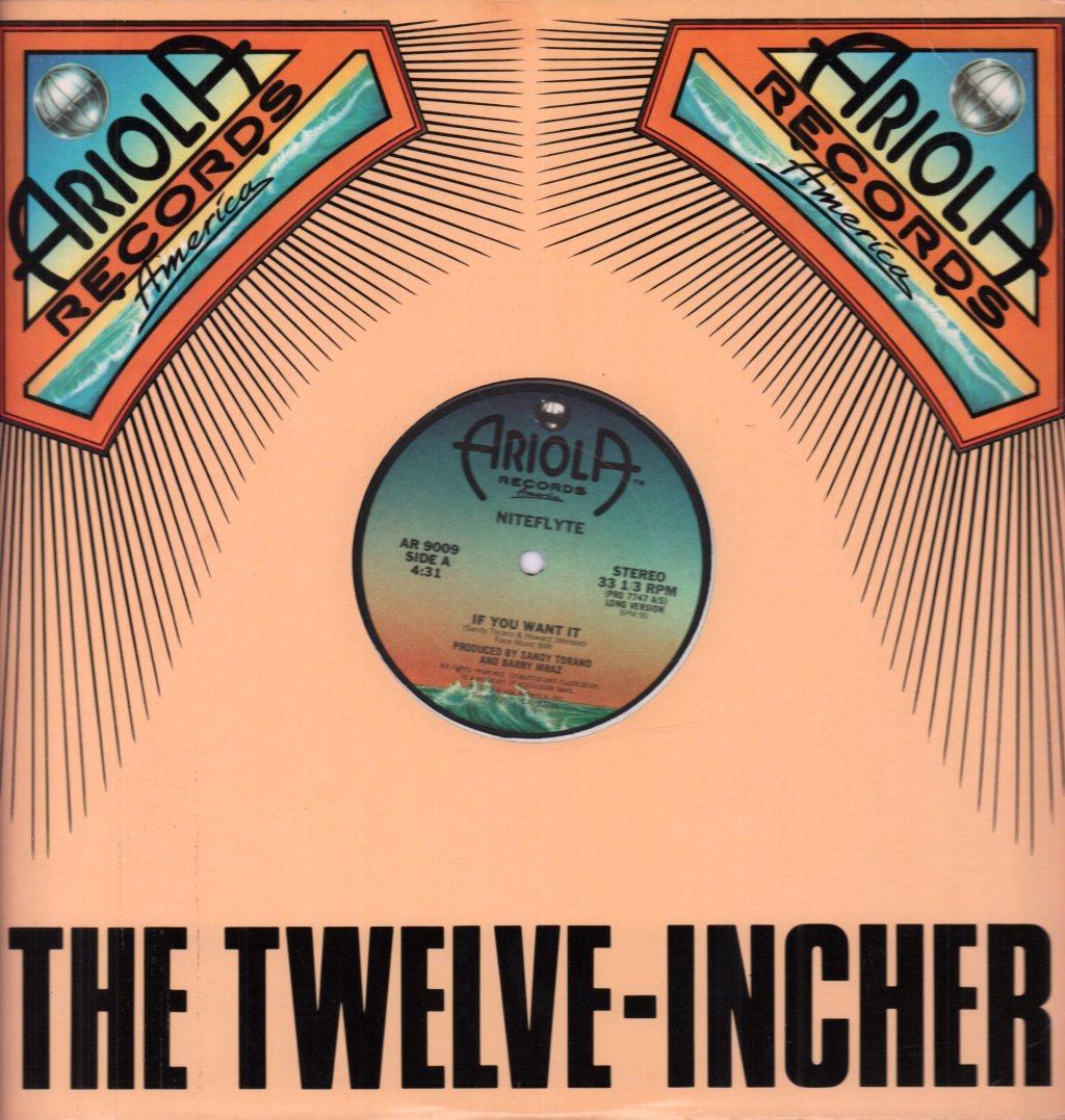 Niteflyte - If You Want It - 12 Inch
