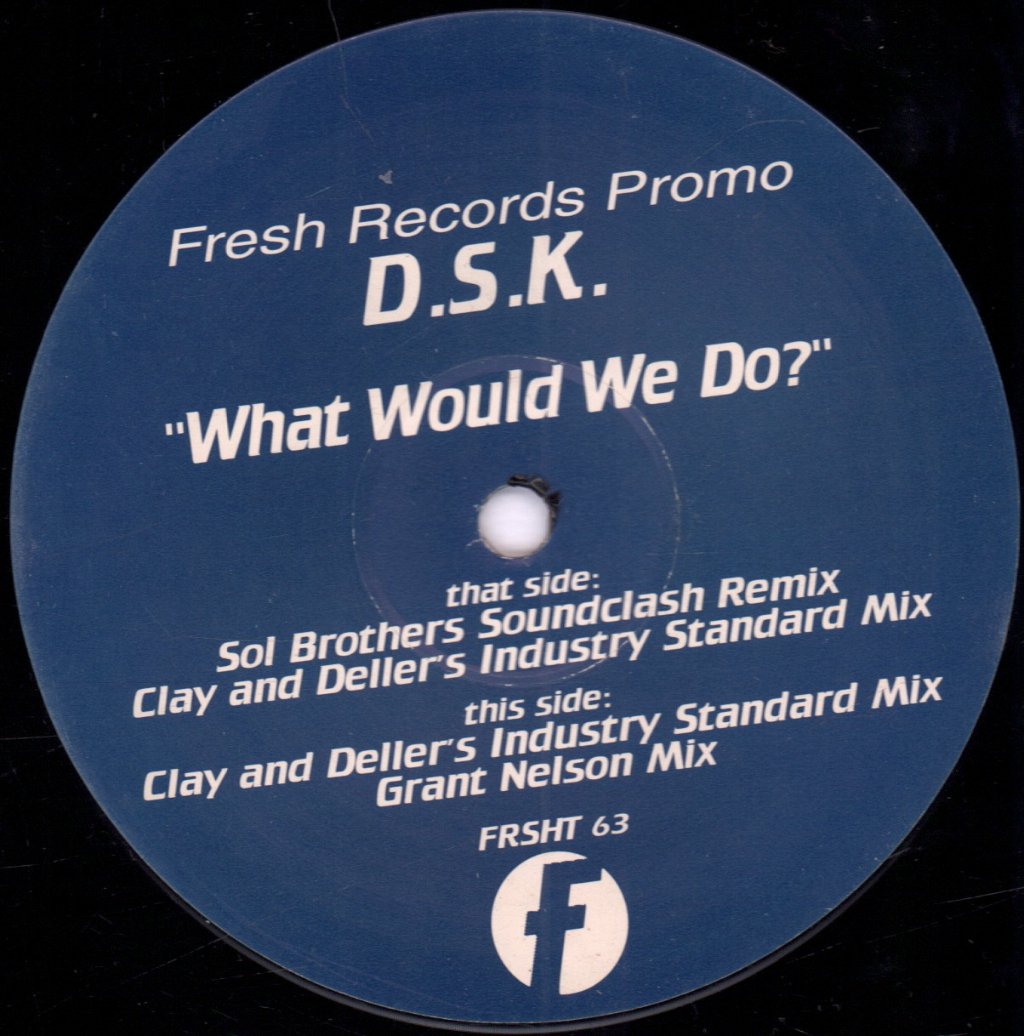 Dsk - What Would We Do? - 12 Inch