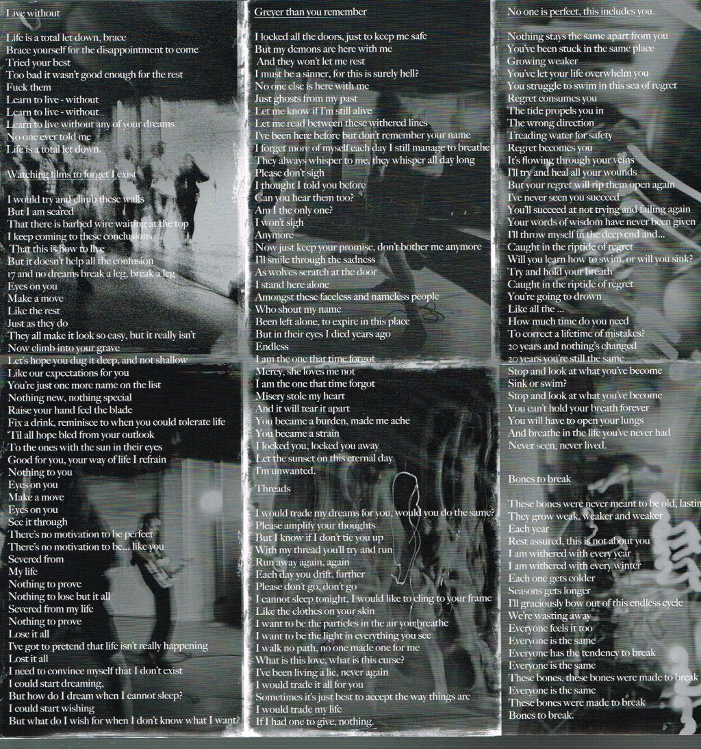 Employed To Serve - Greyer Than You Remember - Lp