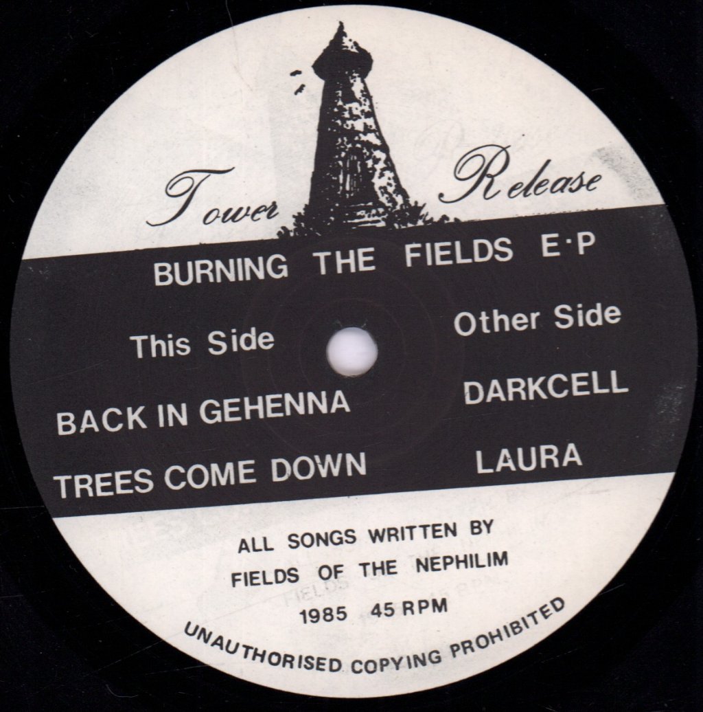 Fields Of The Nephilim - Burning The Fields - 12 Inch