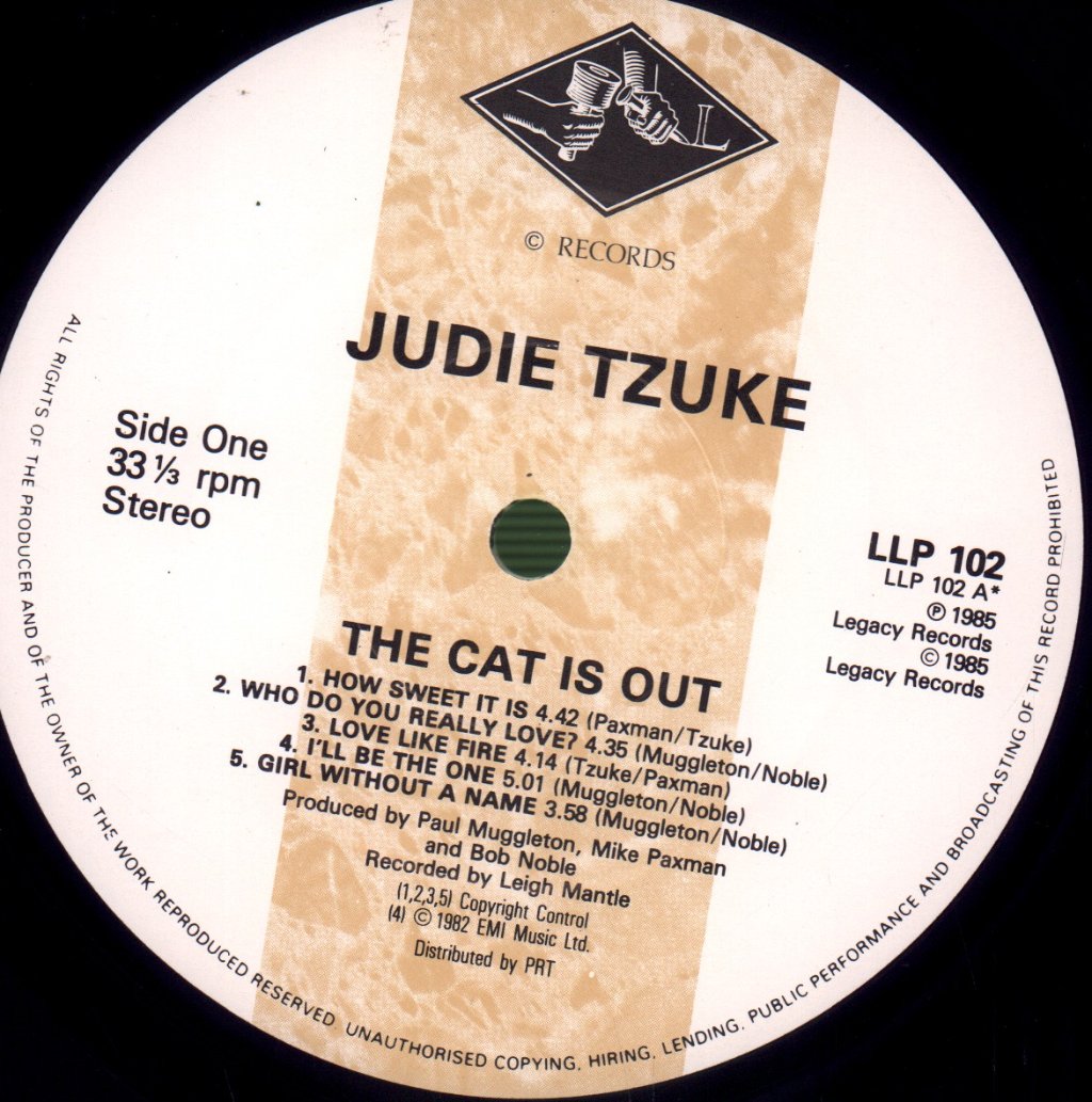 Judie Tzuke - Cat Is Out - Lp