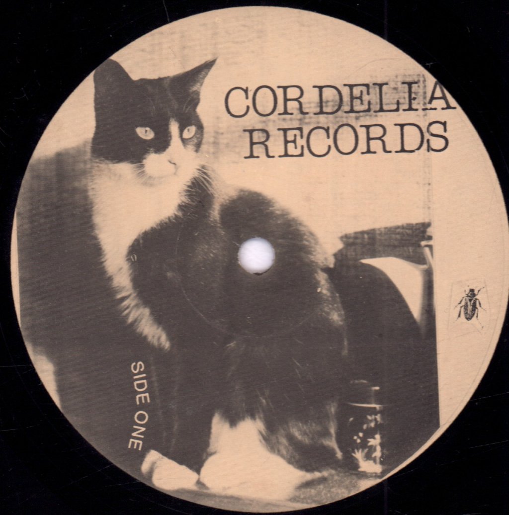R. Stevie Moore - (1952-19??) - Lp