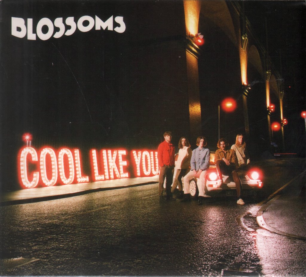 Blossoms - Cool Like You - Cd
