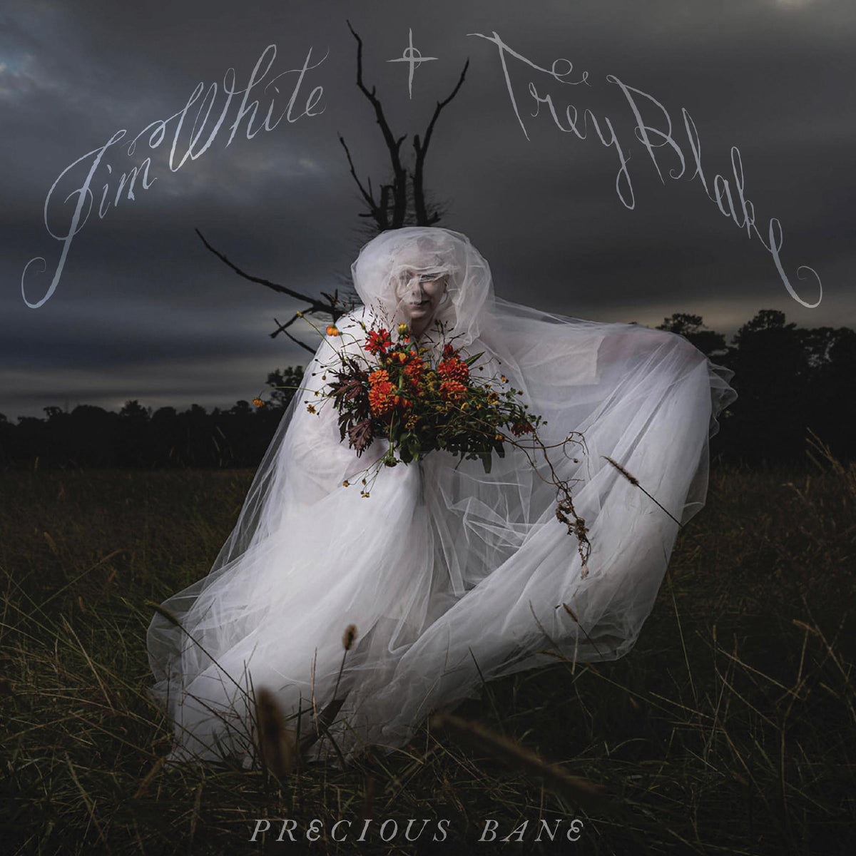 Jim White - Precious Bane - Double Lp