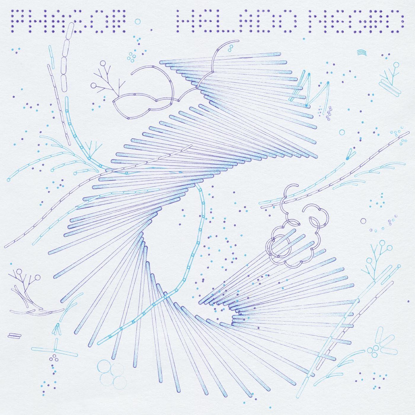 Helado Negro - Phasor - Cd