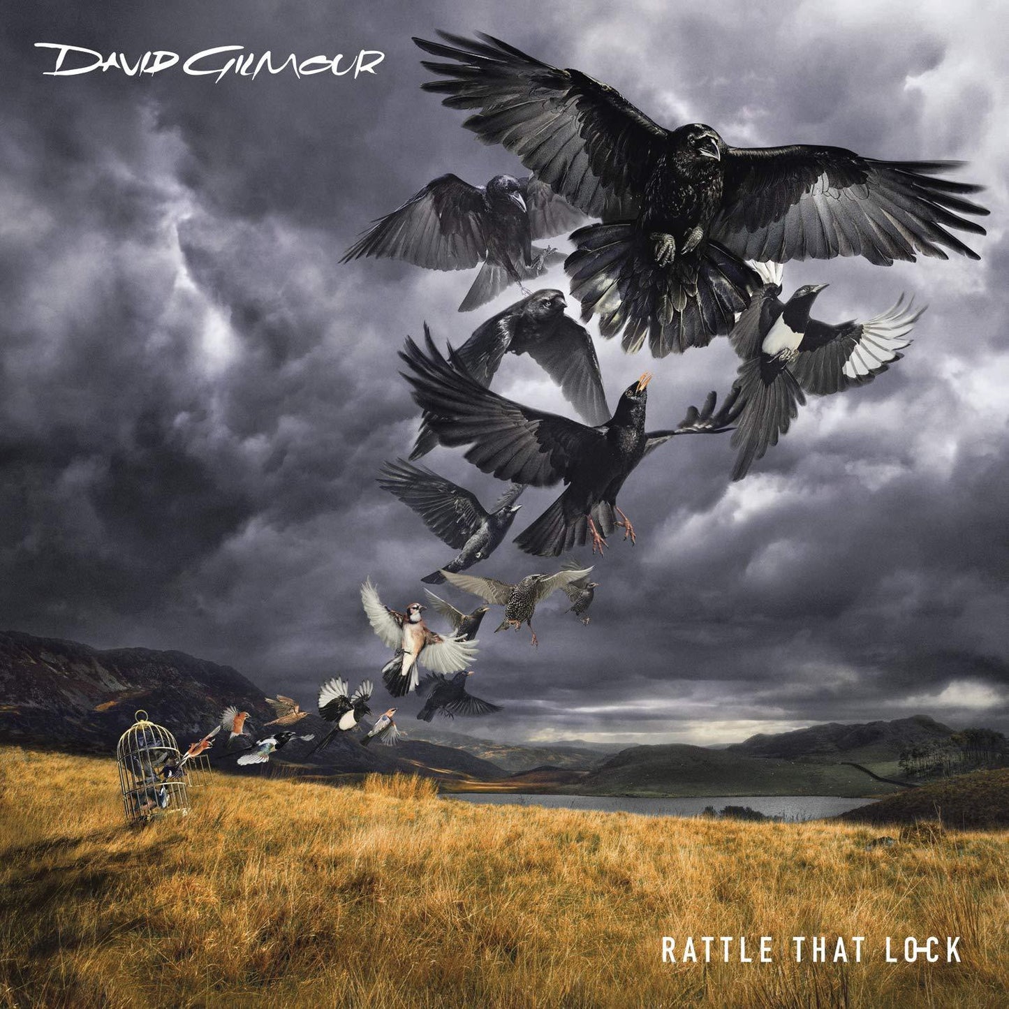 David Gilmour - Rattle That Lock - Lp