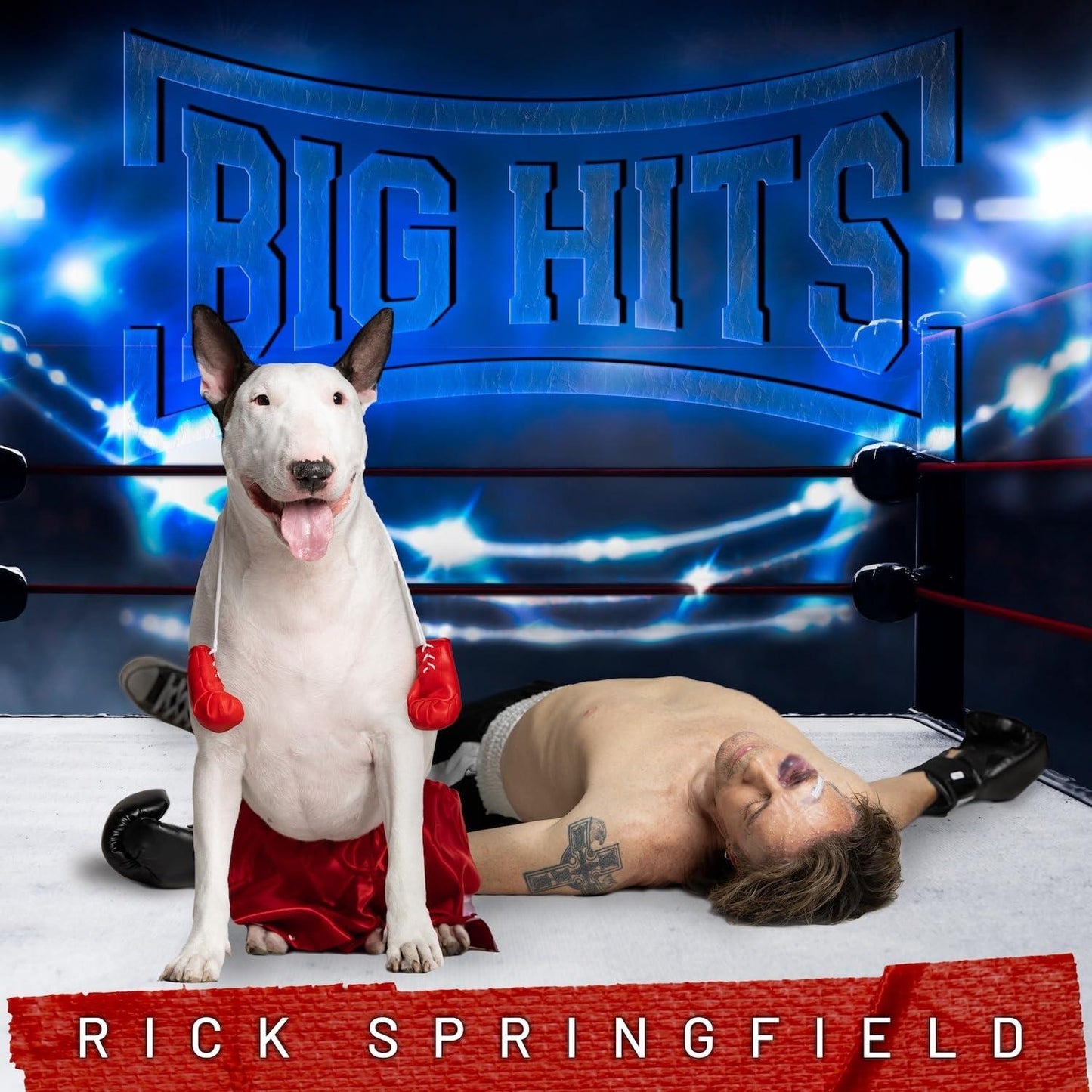 Rick Springfield - Big Hits: Rick Springfield's Greatest Hits, Vol. 2 - Cd