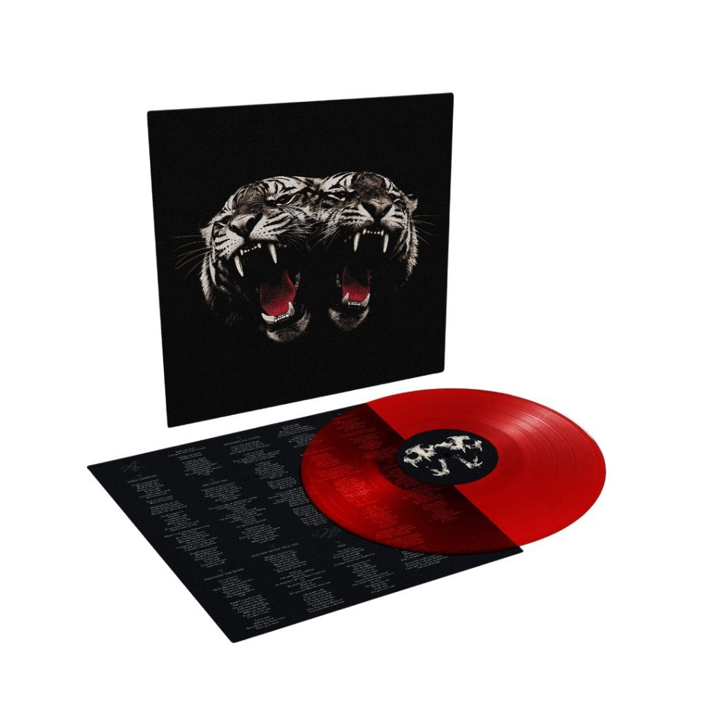 Royal Blood - DEAD COMPANY - Lp