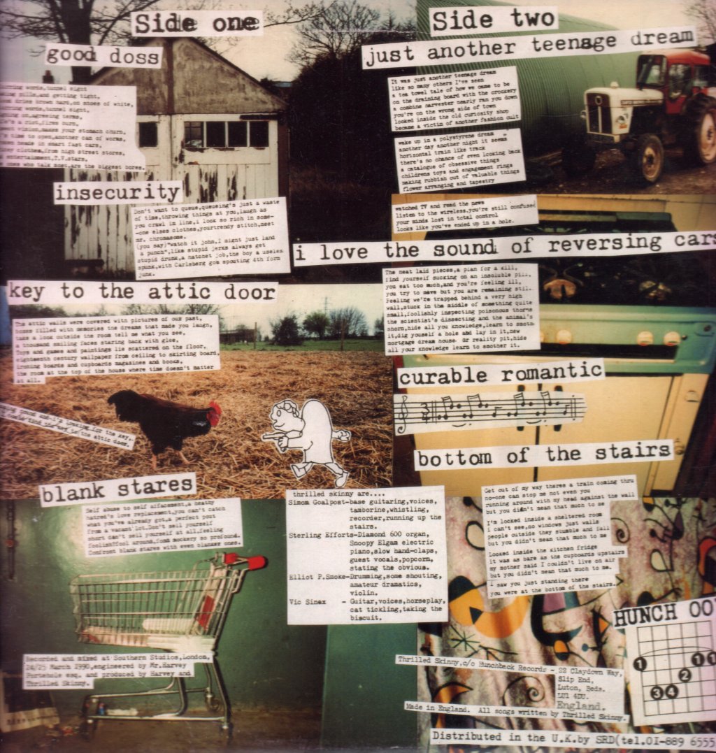 Thrilled Skinny - It's A Good Doss - Lp