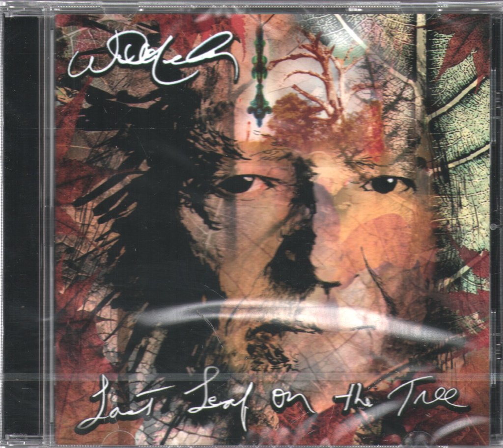 Willie Nelson - Last Leaf On The Tree - Cd