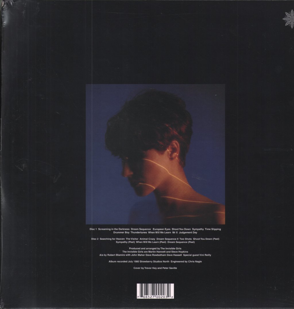 Pauline Murray And The Invisible Girls - Pauline Murray And The Invisible Girls - Double Lp