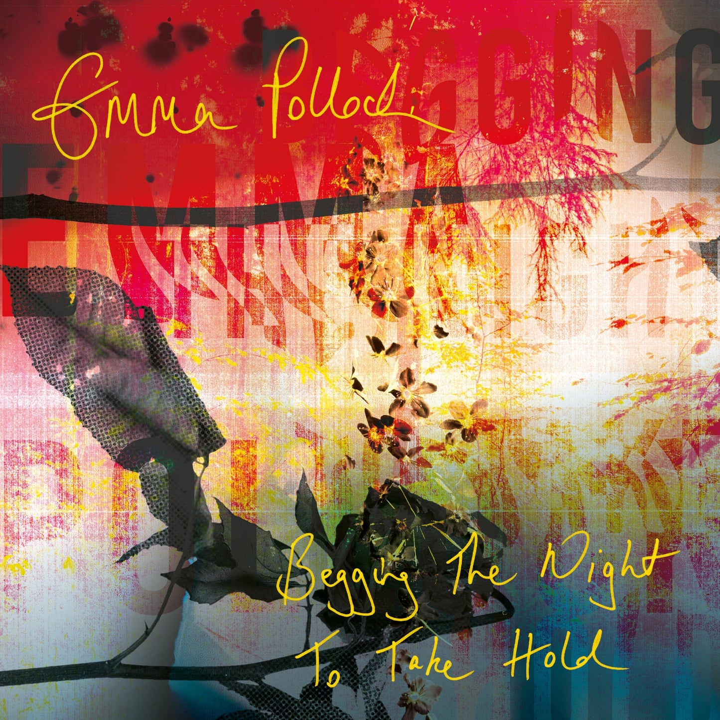 Emma Pollock - Begging the Night To Take Hold - Cd