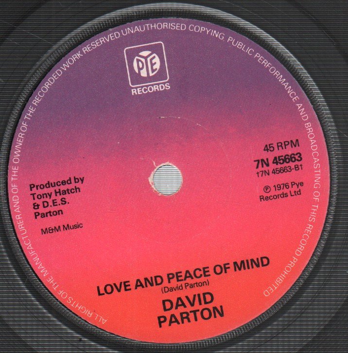 David Parton - Isn't She Lovely - 7 Inch