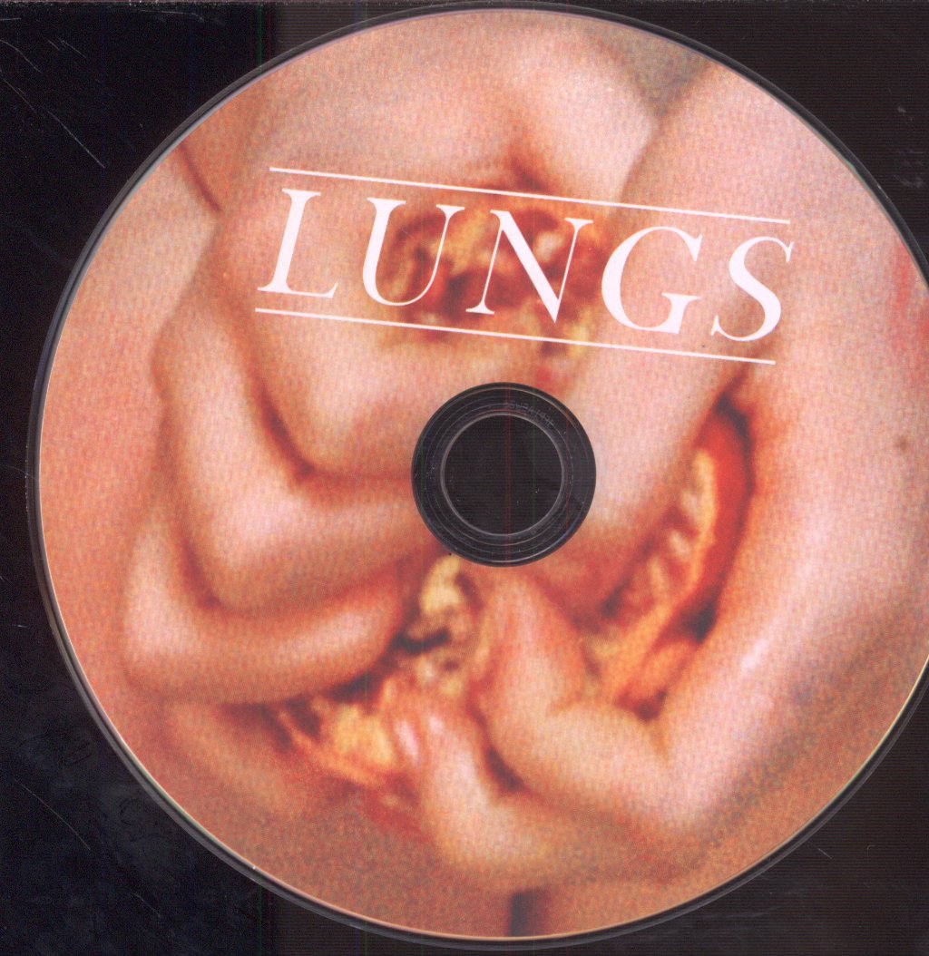Florence And The Machine - Lungs - Cd