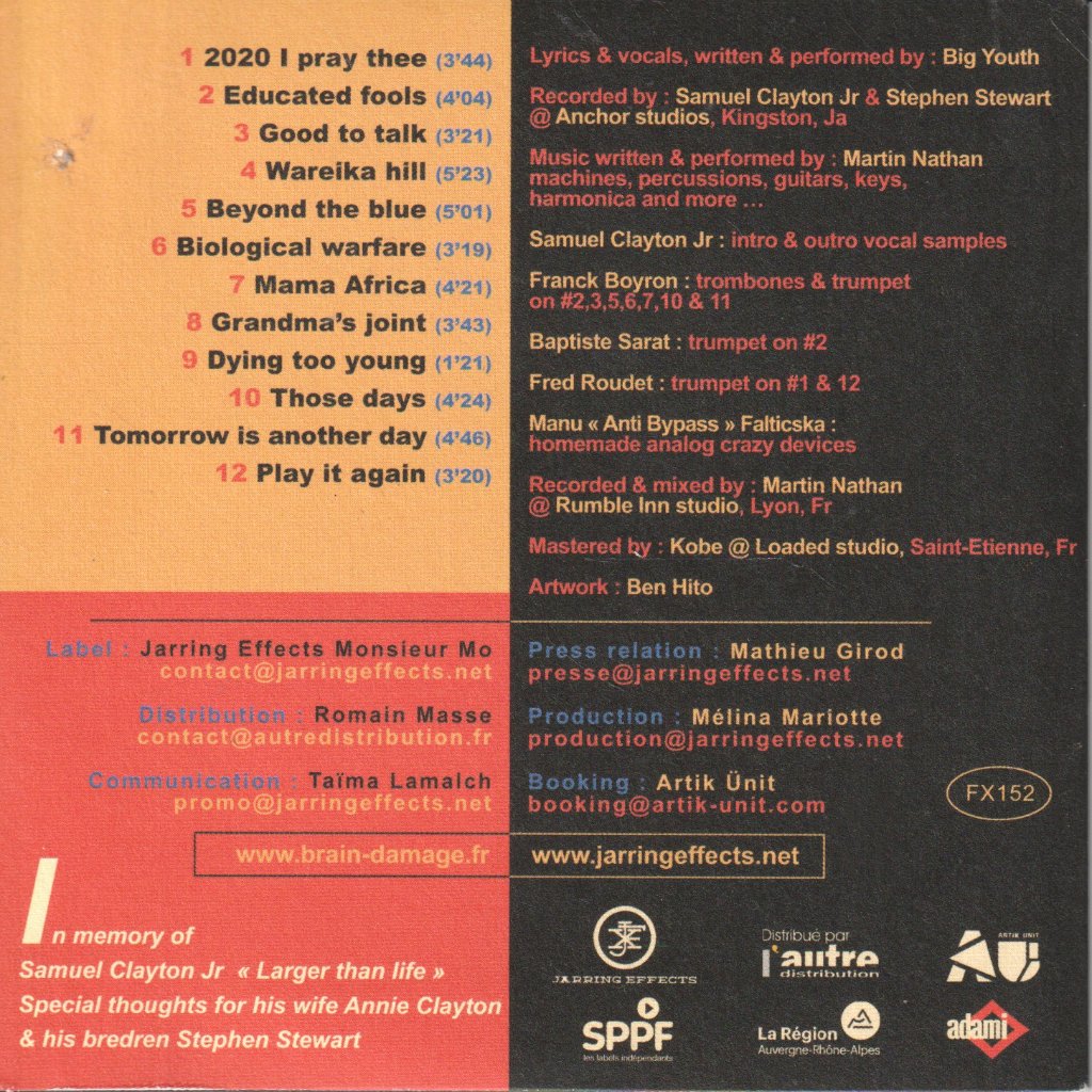 brain damage meets big youth - Beyond The Blue - Cd