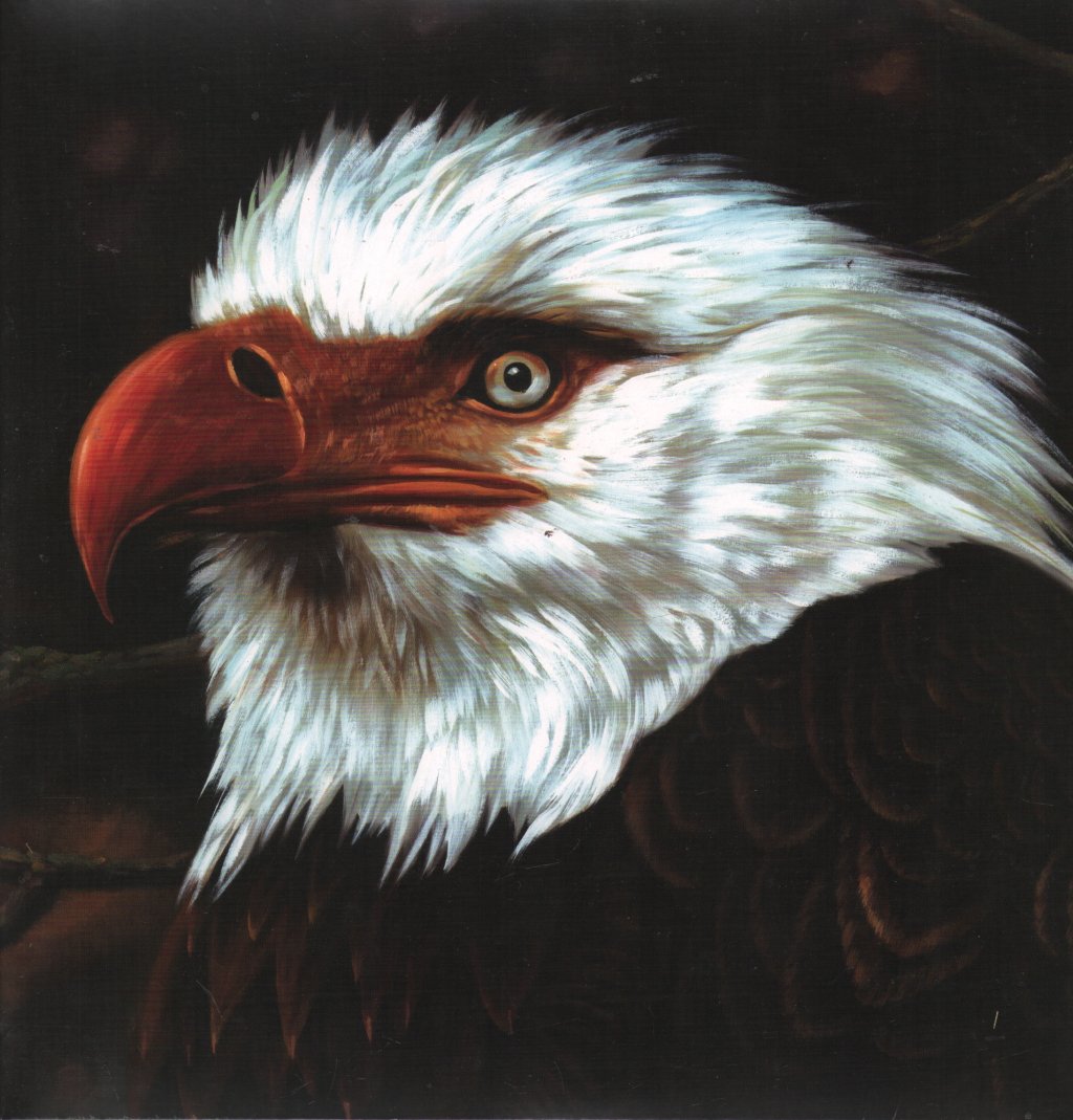 Mogwai - Hawk Is Howling - Double Lp