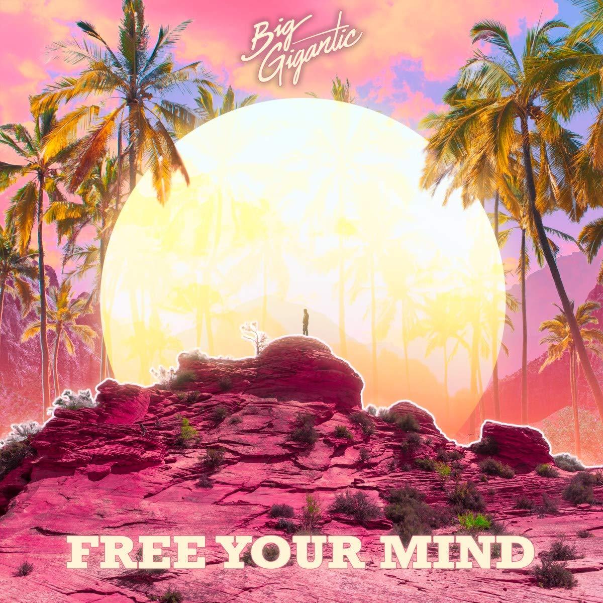 Big Gigantic - Free Your Mind - Cd