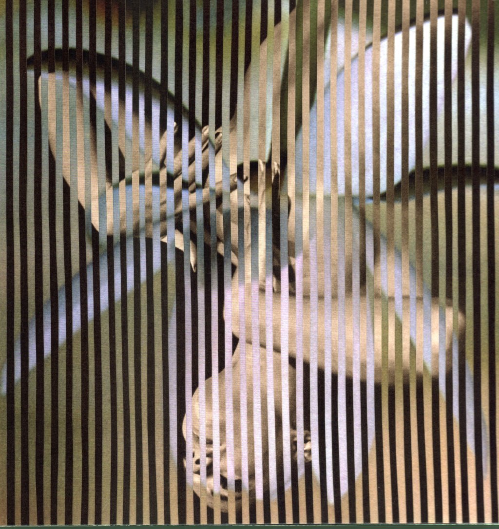 Franz Ferdinand - Always Ascending - Lp