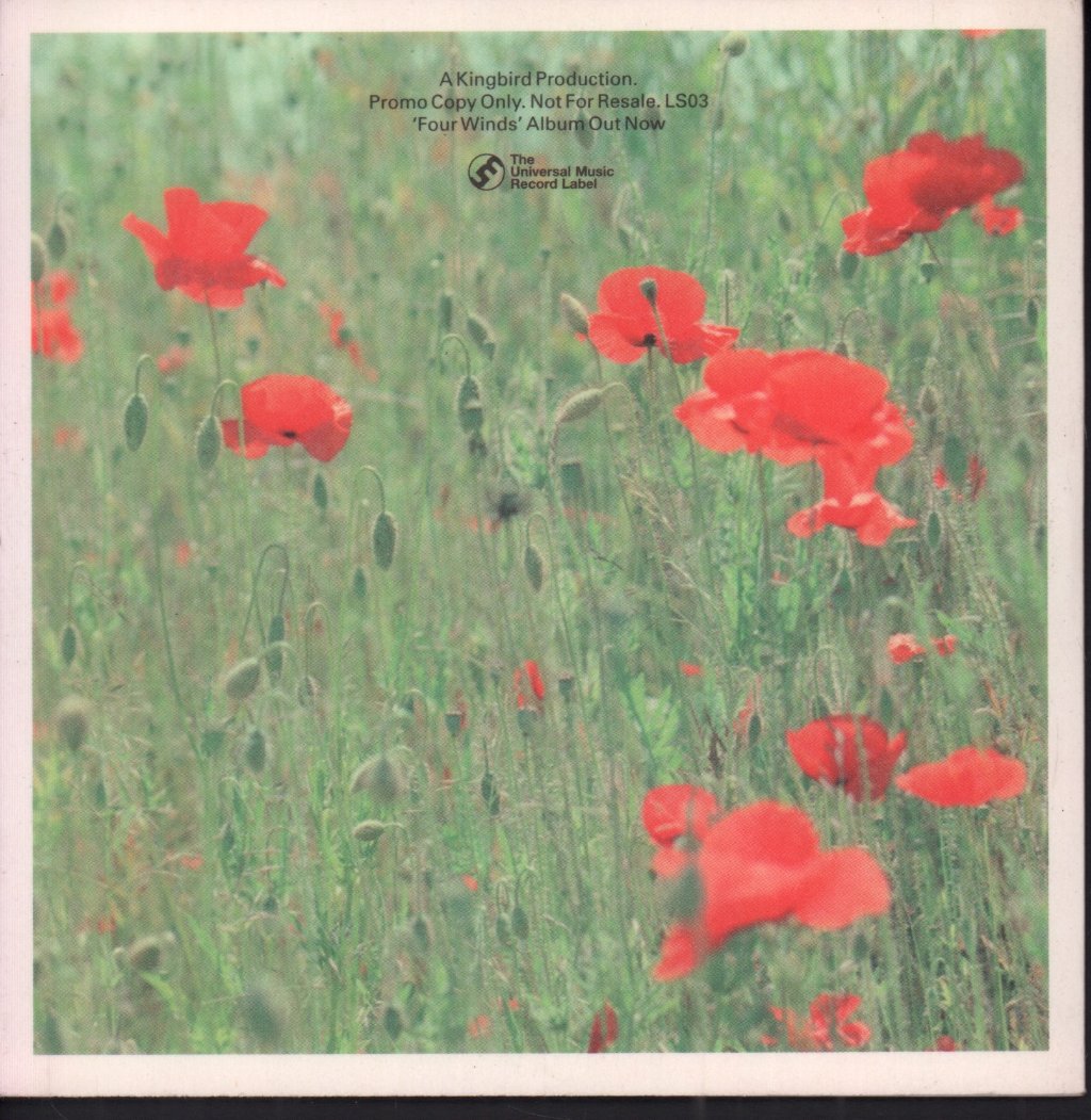 Lightning Seeds - Don't Walk On By - Cdr