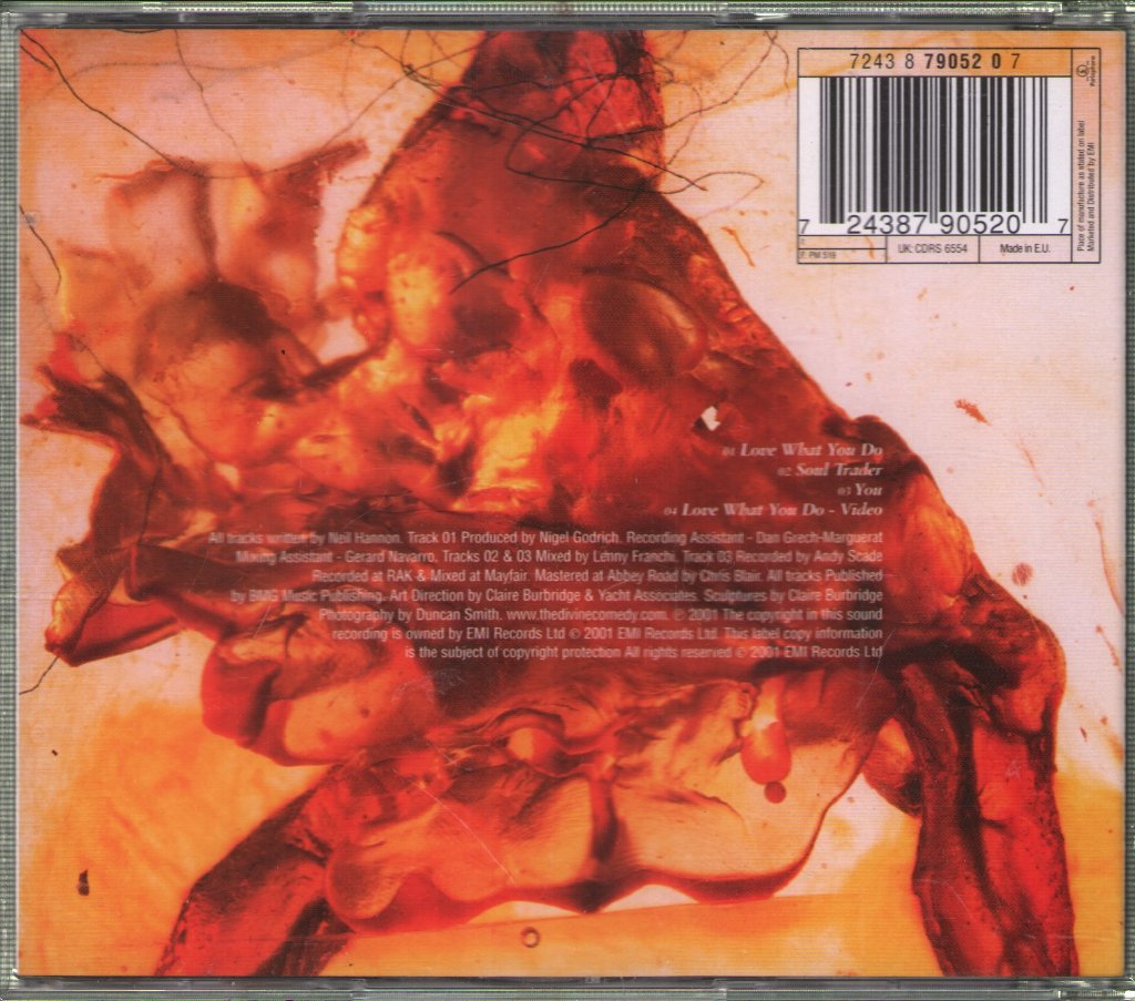 Divine Comedy - Love What You Do - Cd