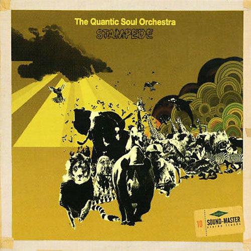 Quantic Soul Orchestra - Stampede - Lp