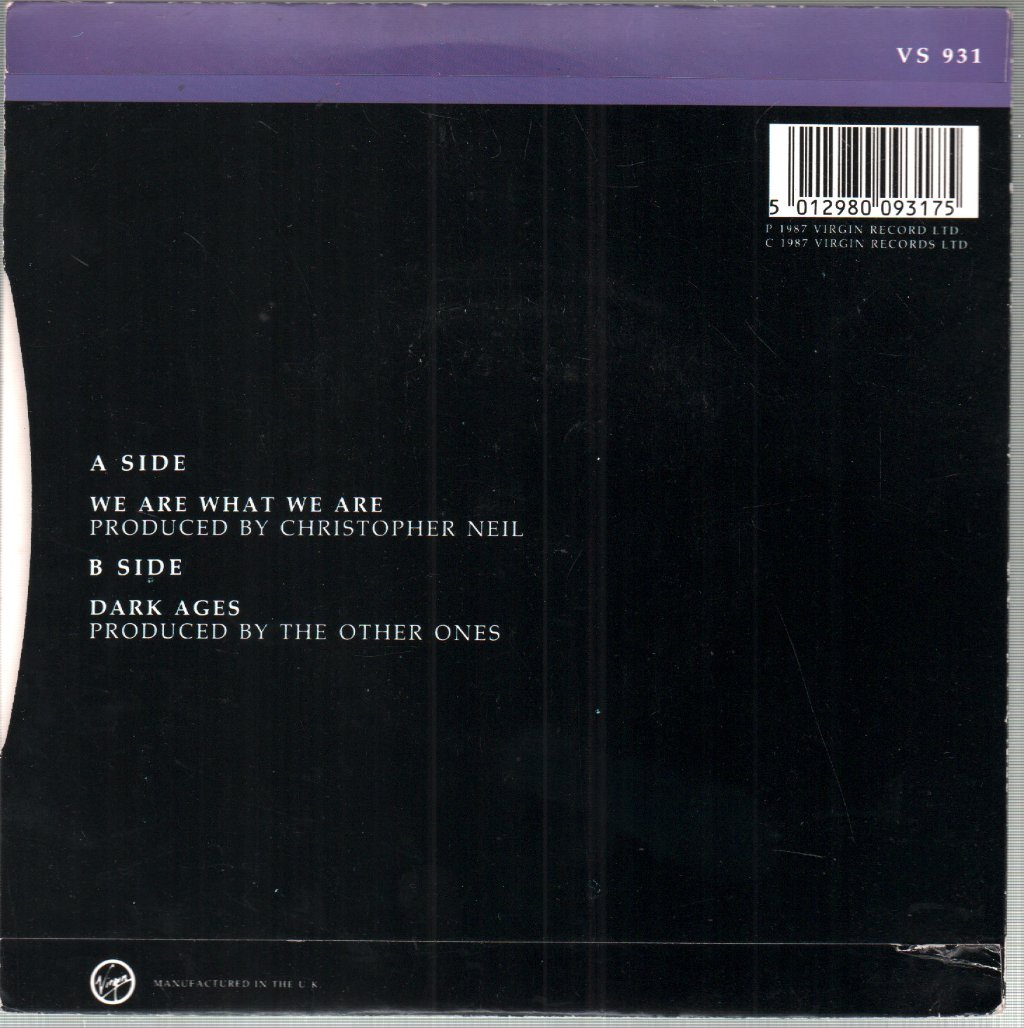 Others Ones - We Are What We Are - 7 Inch