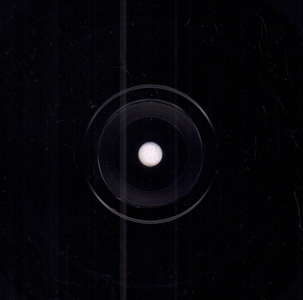 House Of Love - Never - 7 Inch